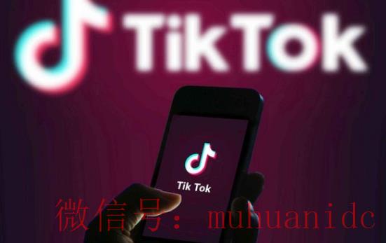 tiktok账号购买平台