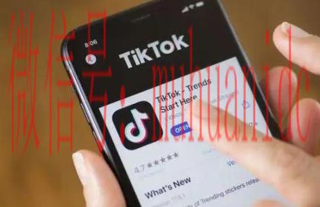 tiktok账号购买平台