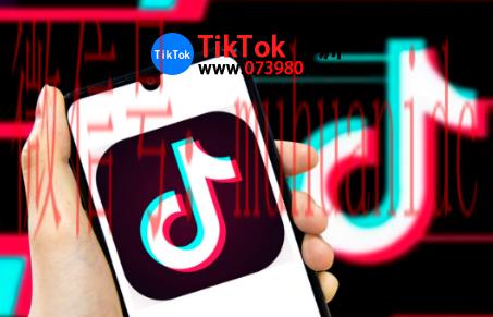 tiktok账号购买平台
