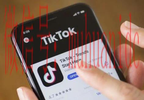 tiktok账号购买平台