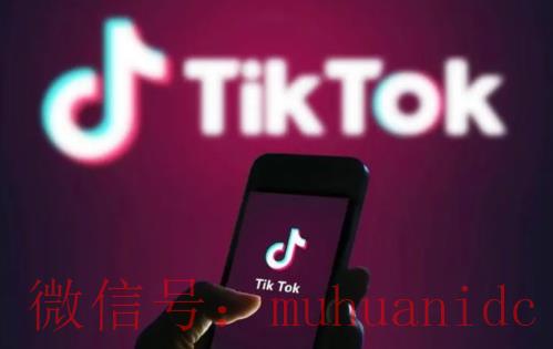 tiktok账号购买平台