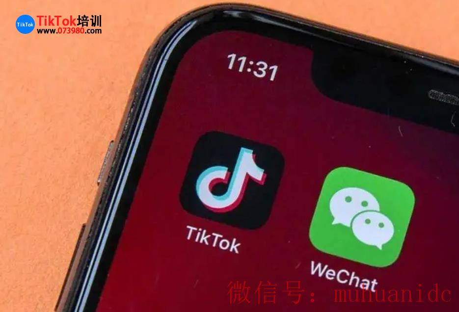 tiktok账号购买平台