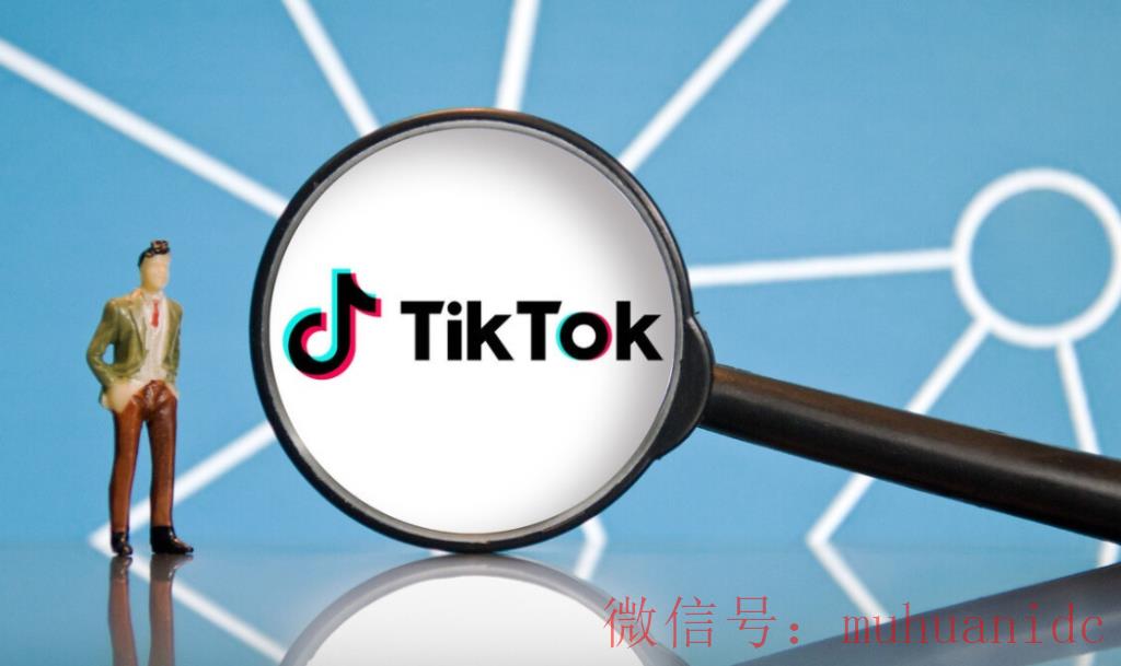 tiktok账号购买平台