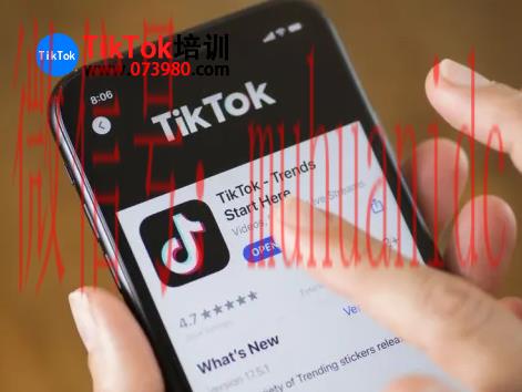 tiktok账号购买平台