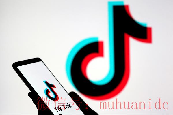 tiktok账号购买平台