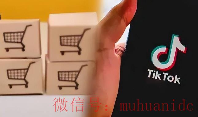 tiktok账号购买平台