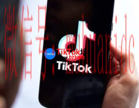 tiktok账号购买平台