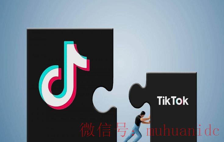 tiktok账号购买平台