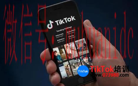 tiktok账号购买平台