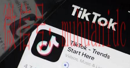 tiktok账号购买平台