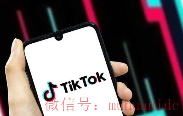 tiktok账号购买平台