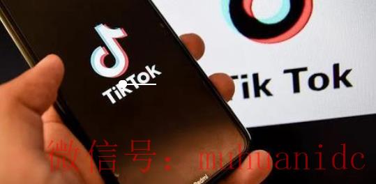 tiktok账号购买平台