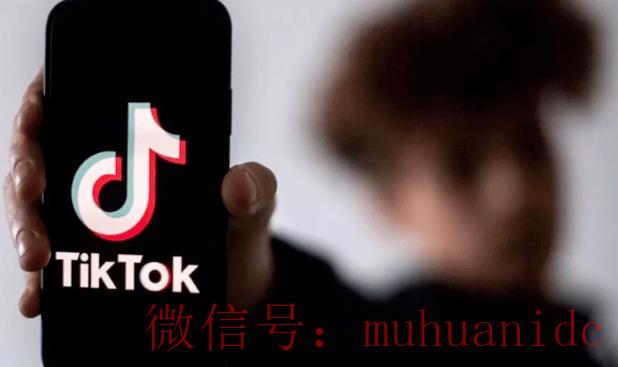 tiktok账号购买平台