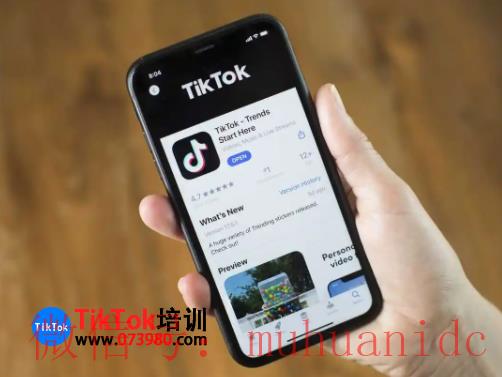 tiktok账号购买平台