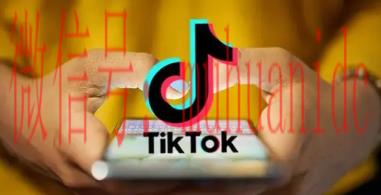 tiktok账号购买平台