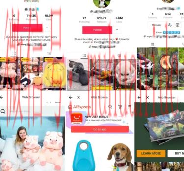 tiktok账号购买平台