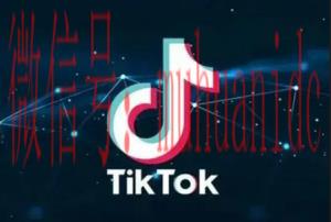 tiktok账号购买平台