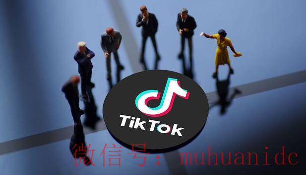 tiktok账号购买平台