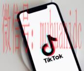 tiktok账号购买平台