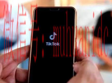 tiktok账号购买平台