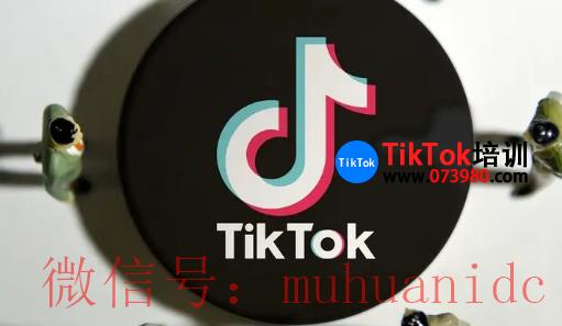tiktok账号购买平台
