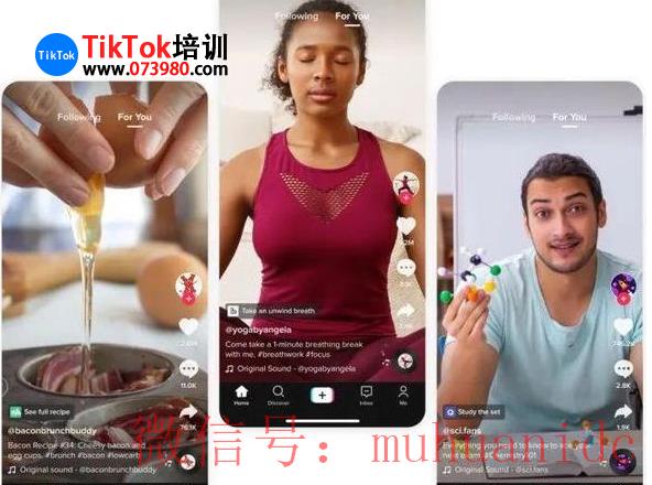 tiktok账号购买平台