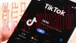 tiktok账号购买平台