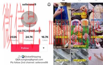 tiktok账号购买平台