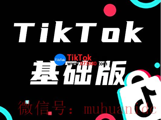 tiktok账号购买平台