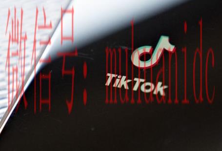 tiktok账号购买平台