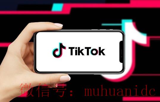 tiktok账号购买平台