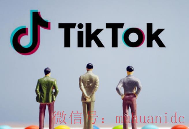 tiktok账号购买平台