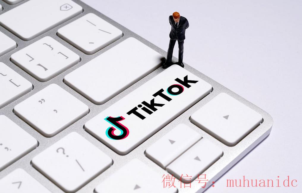 tiktok账号购买平台