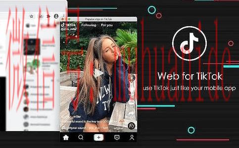 tiktok账号购买平台