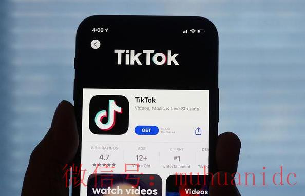 tiktok账号购买平台