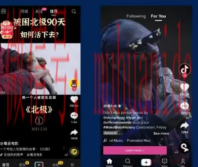 tiktok账号购买平台