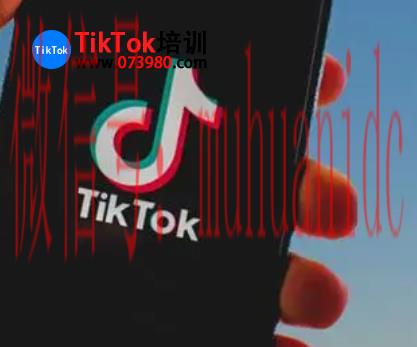 tiktok账号购买平台