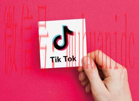 tiktok账号购买平台