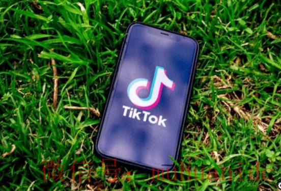 tiktok账号购买平台