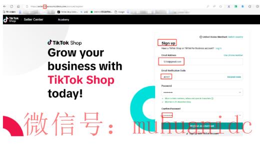 tiktok账号购买平台