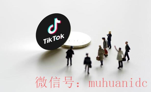 tiktok账号购买平台