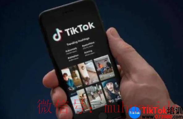 tiktok账号购买平台