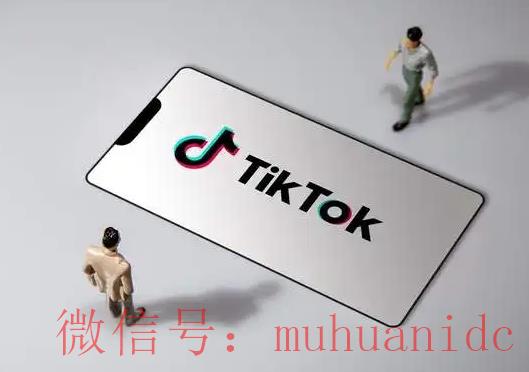 tiktok账号购买平台
