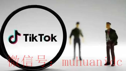 tiktok账号购买平台