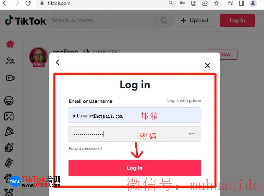 tiktok账号购买平台