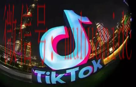 tiktok账号购买平台