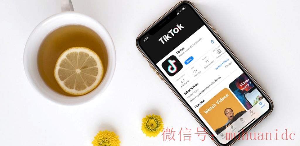 tiktok账号购买平台