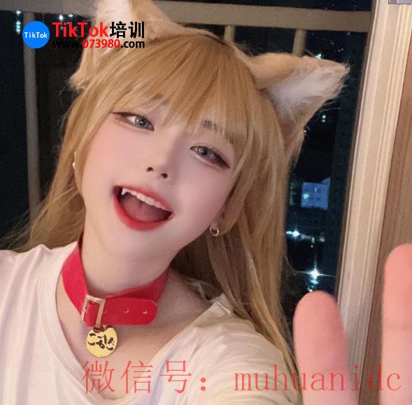 tiktok账号购买平台
