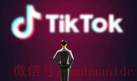 tiktok账号购买平台