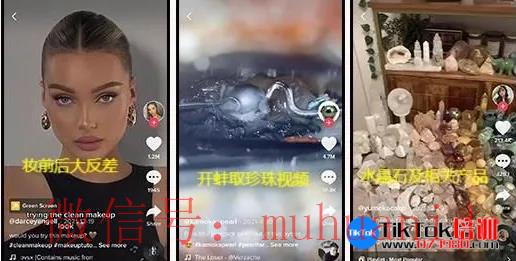 tiktok账号购买平台